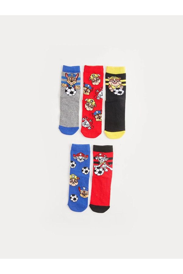 LC Waikiki LC Waikiki Pack of 5 LCW Kids Paw Patrol Boys Kids Socket Socks