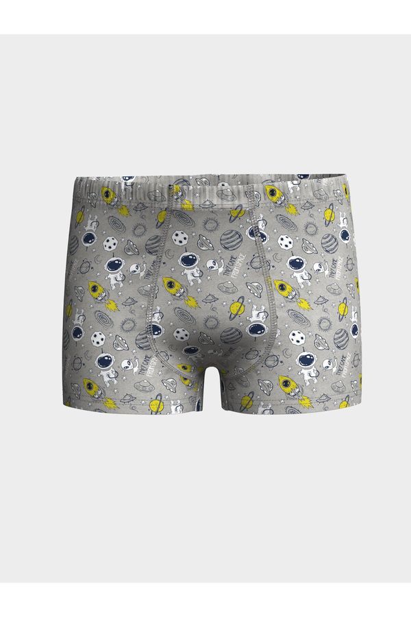 LC Waikiki LC Waikiki Printed Boy Boxer