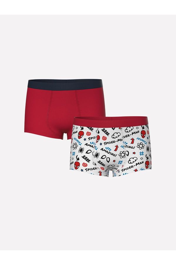 LC Waikiki LC Waikiki Printed Boy's Boxer Set of 2