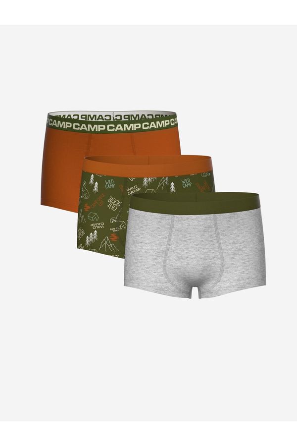 LC Waikiki LC Waikiki Printed Boy's Boxer Set of 3