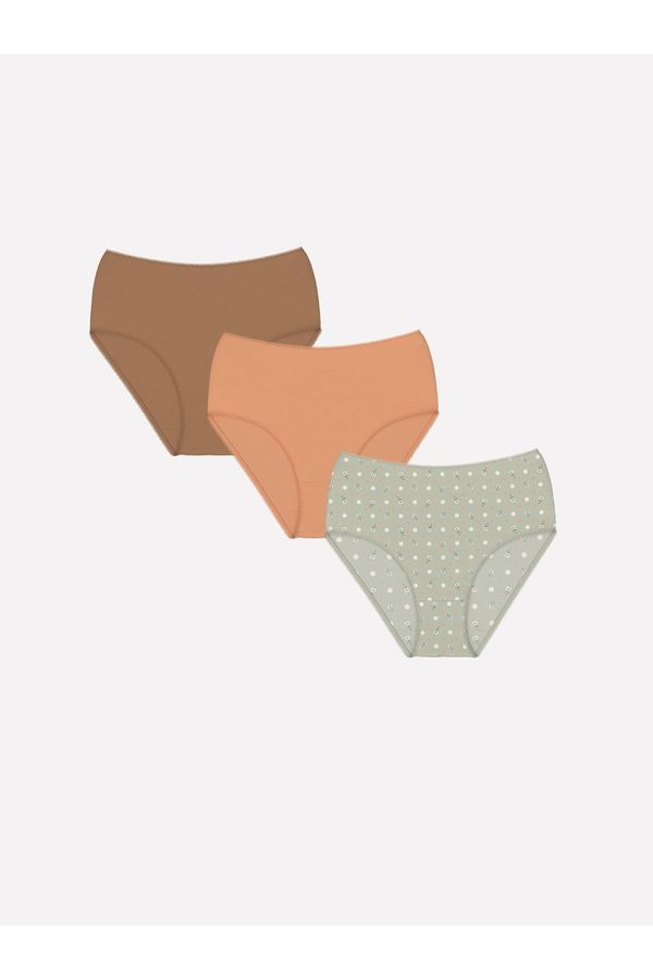 LC Waikiki LC Waikiki Printed Classic Panties 3-Pack