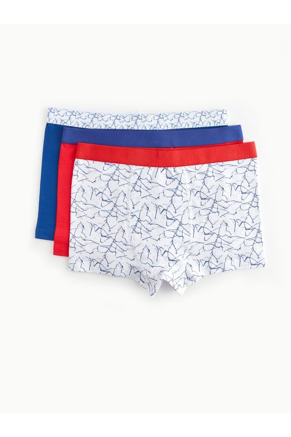 LC Waikiki LC Waikiki Printed Cotton Boy's Boxer Set of 3