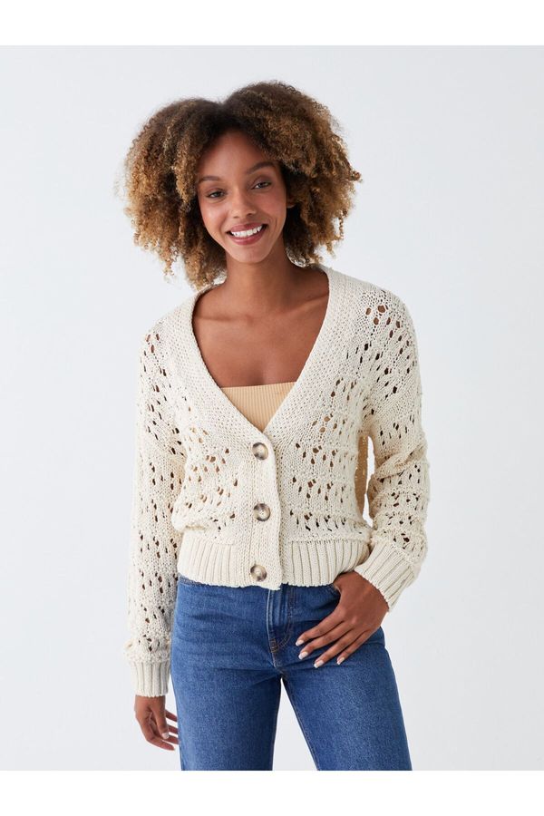 LC Waikiki LC Waikiki Women's V-Neck Openwork Long Sleeve Oversize Knitwear Cardigan