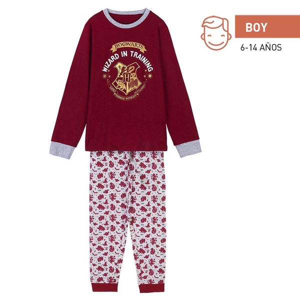 HARRY POTTER LONG PYJAMES SINGLE JERSEY HARRY POTTER