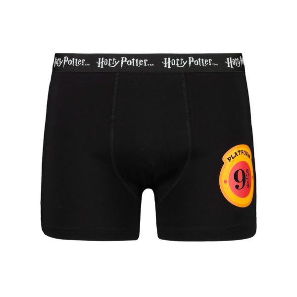 Licensed Men&#039;s boxer HARRY POTTER - Frogies