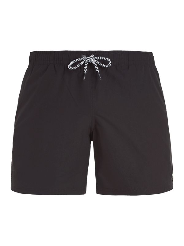 Protest Men's beach shorts Protest PRTYESSINE