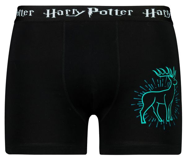 Licensed Men's boxer Harry Potter - Frogies