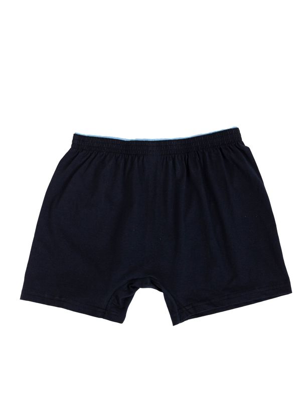 Fashionhunters Men's boxer shorts made of cotton in dark blue