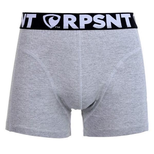 REPRESENT Men's boxers Represent Sport grey