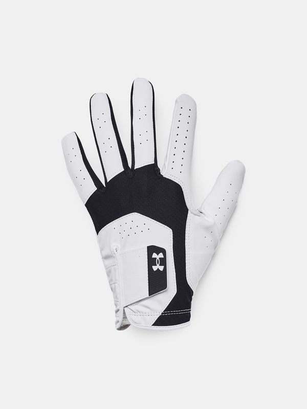 Under Armour Men's gloves Under Armour