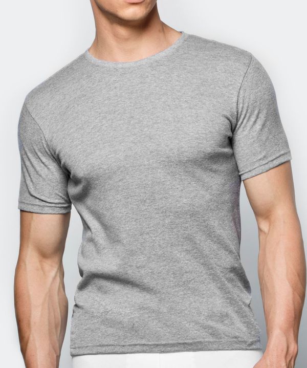 Atlantic Men's short sleeve T-shirt ATLANTIC - gray