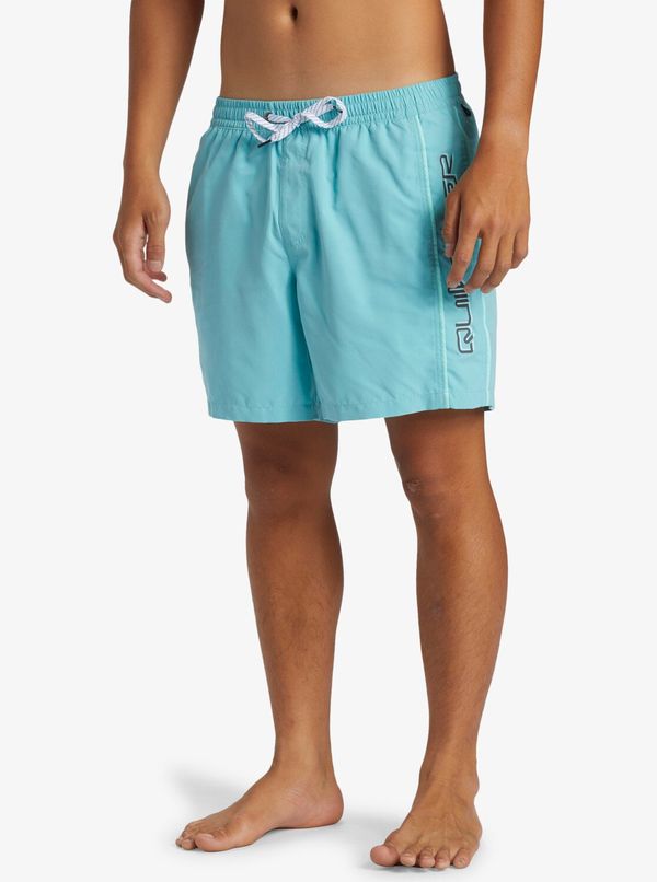 Quiksilver Men's shorts swimwear Quiksilver EVERYDAY VERT VOLLEY