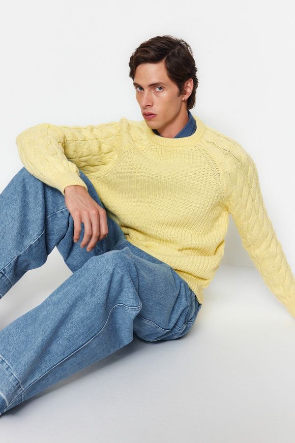 Trendyol Men's sweater Trendyol Knitwear