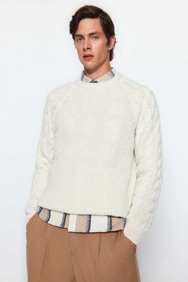 Trendyol Men's sweater Trendyol Knitwear