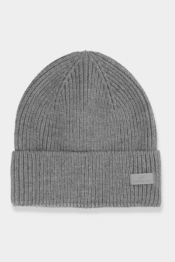 Kesi Men's winter hat with 4F logo grey