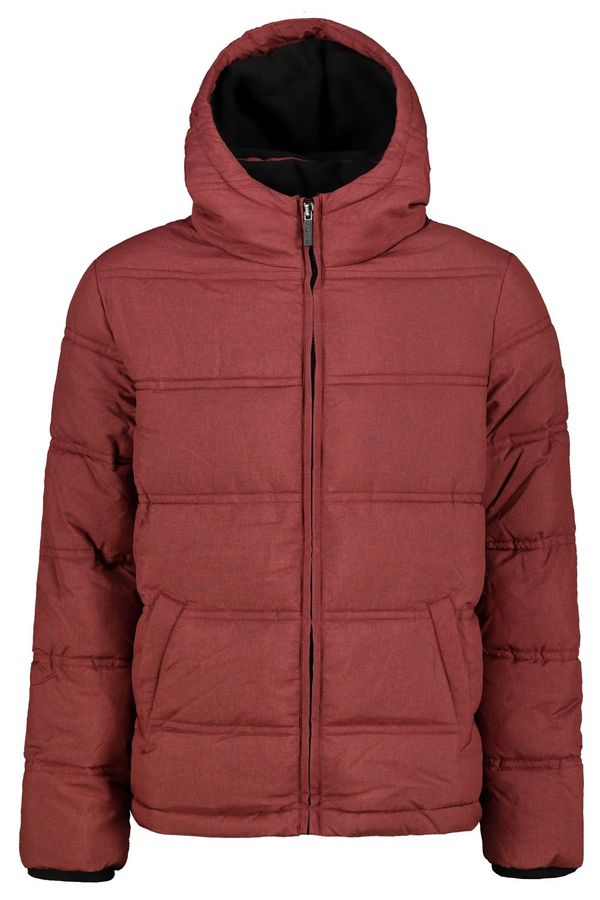 Frogies Men's winter jacket Frogies