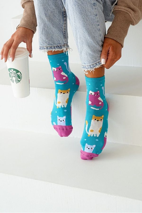 Milena Milena Women's socks colorful cats and dots turquoise