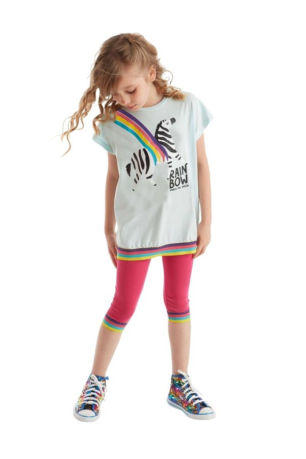 mshb&g mshb&g Rainbow Zebra Girls Kids T-shirt Leggings Suit