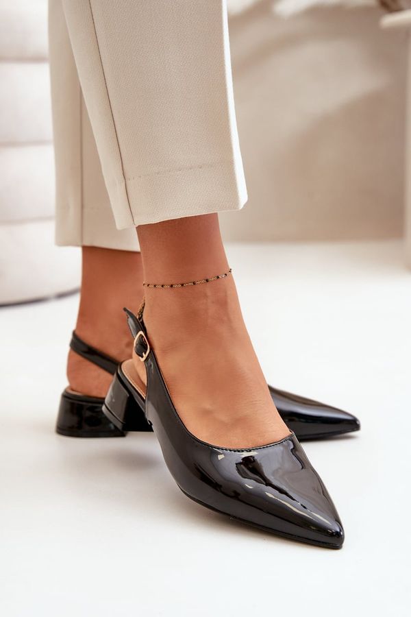 Kesi Patent leather ballerinas with low heels with pointed noses black Anarinne