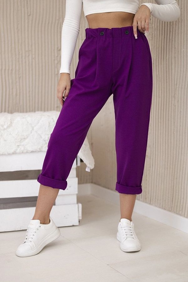 Kesi Punto Milano Winter trousers dark purple