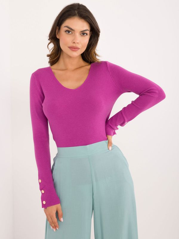 Fashionhunters Purple Smooth Classic Sweater with Viscose