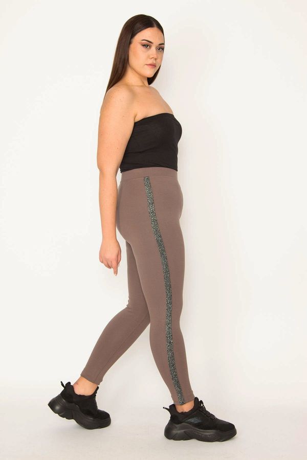 Şans Şans Women's Large Size Mink Steel Viscose Fabric Leggings Trousers with Glitter Detail on the Sides