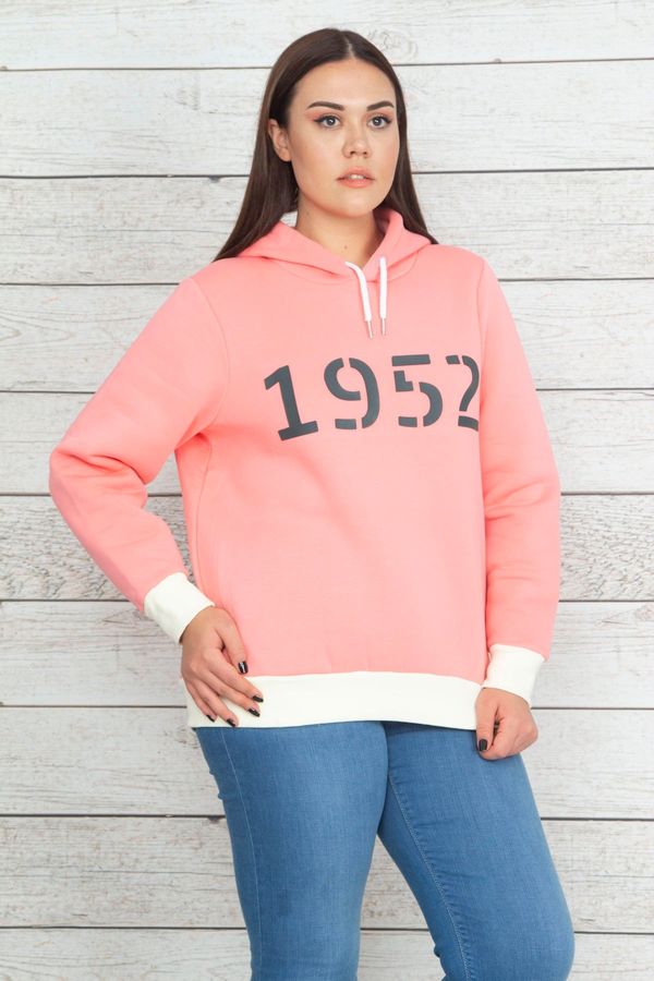 Şans Şans Women's Plus Size Pink Hoodie and Rack Sweatshirt