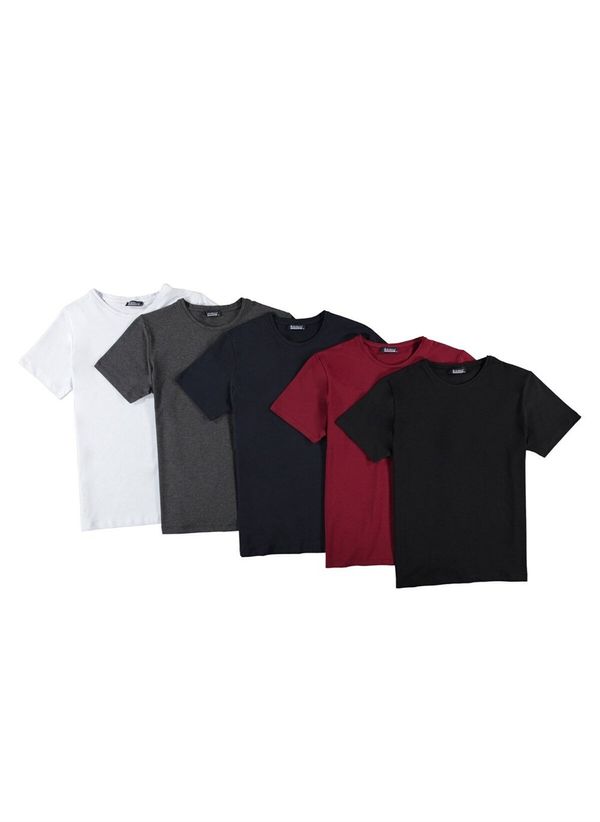 dewberry SET OF FIVE T8569 DEWBERRY BICYCLE COLLAR T-SHIRT-BLACK-NAVY-WHITE-BURGUNDY-ANTHRACITE