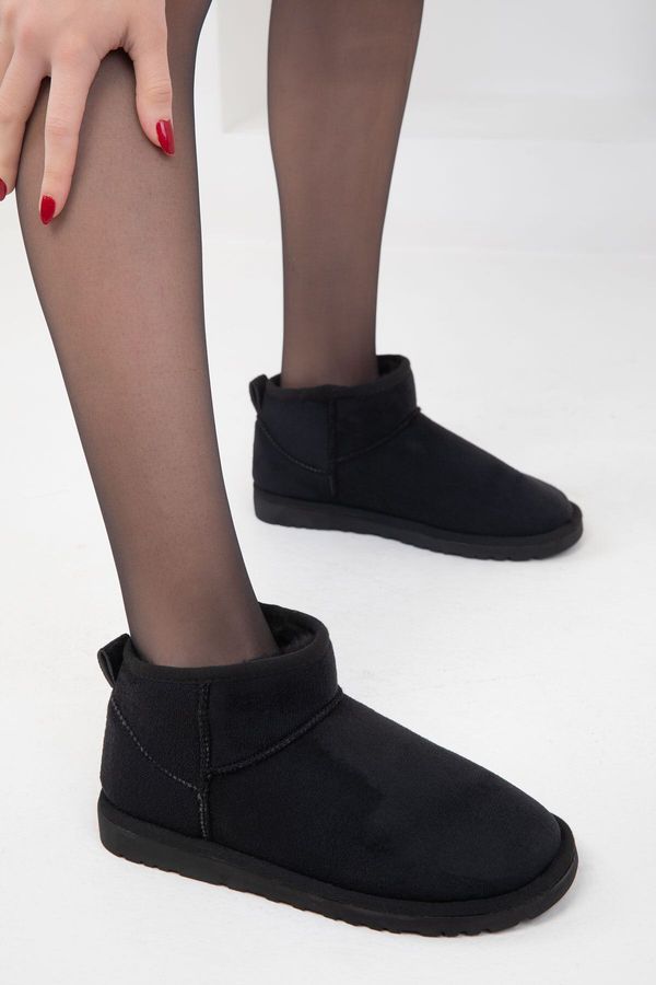 Soho Soho Black Suede Women's Boots & Booties 20024