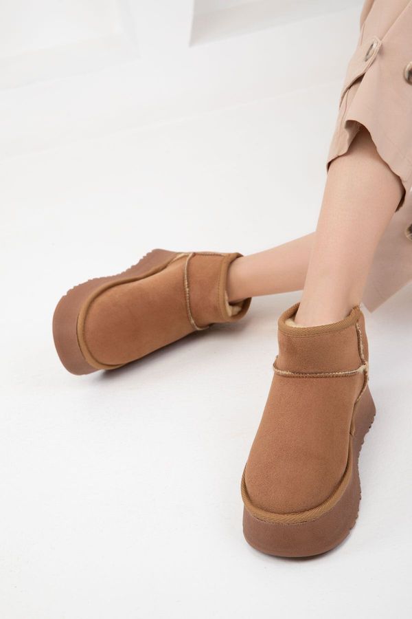 Soho Soho Tan Women's Suede Boots & Booties 18351