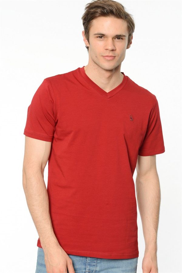 dewberry T8537 DEWBERRY T-SHIRT-BURGUNDY