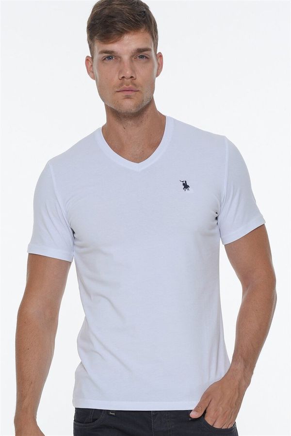 dewberry T8568 DEWBERRY V-NECK MEN'S T-SHIRT-WHITE