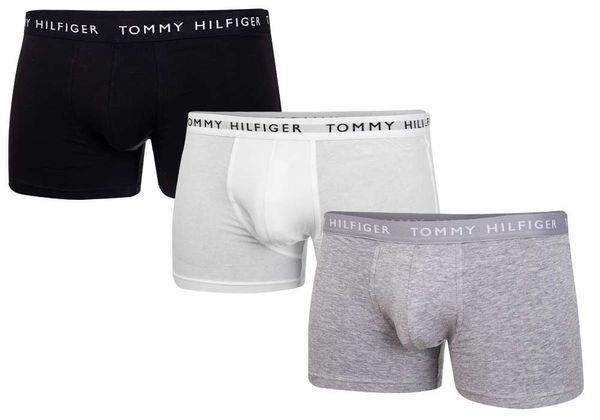 Tommy Hilfiger Tommy Hilfiger Man's Underpants UM0UM02203 White/Black/Grey