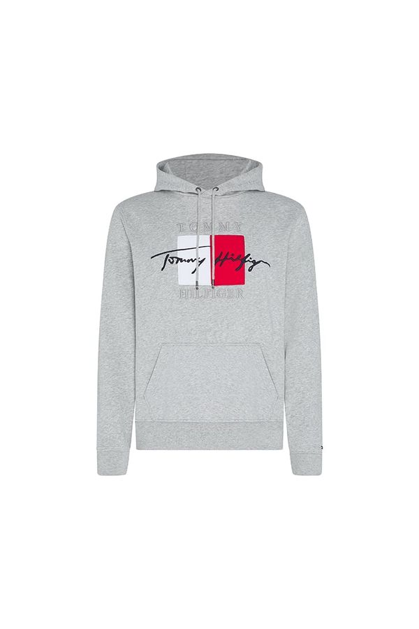 Tommy Hilfiger Tommy Hilfiger Sweatshirt - SIGNATURE ARTWORK HOODY grey