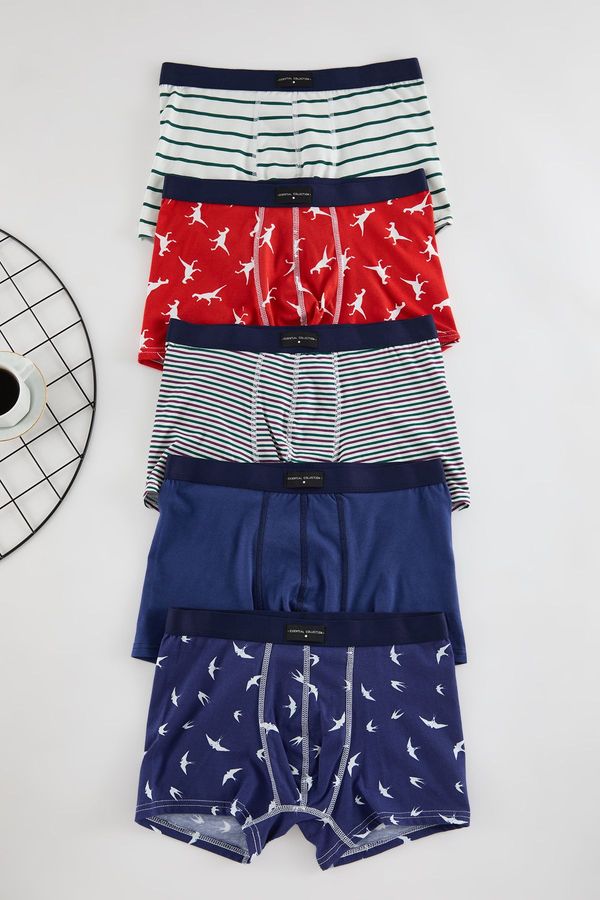 Trendyol Trendyol 5 Pack Patterned/Plain Pack Boxers