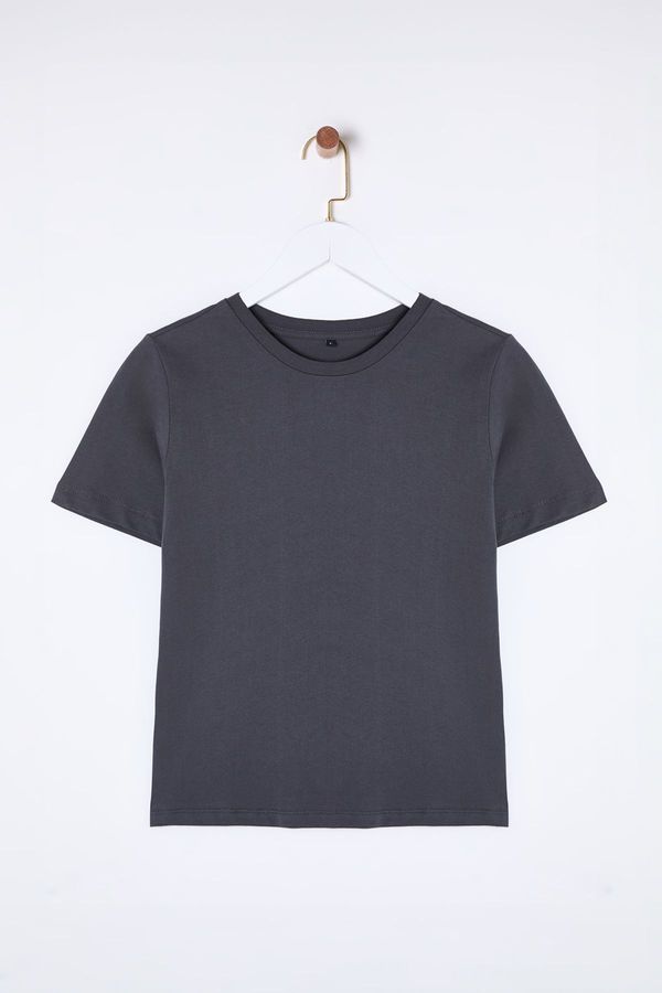 Trendyol Trendyol Anthracite 100% Cotton Basic Crew Neck Knitted T-Shirt