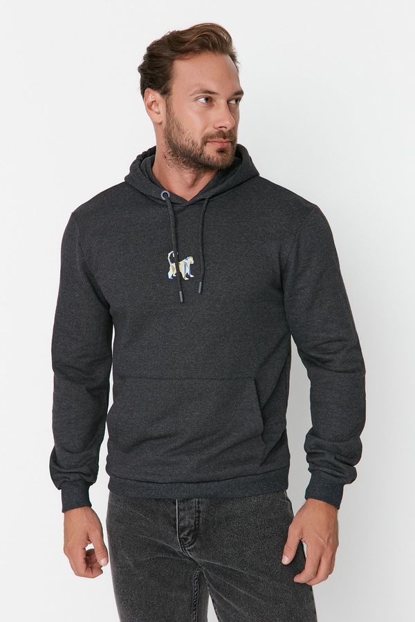 Trendyol Trendyol Anthracite Basic Regular Cut Hooded False Sleeve Embroidered Sweatshirt