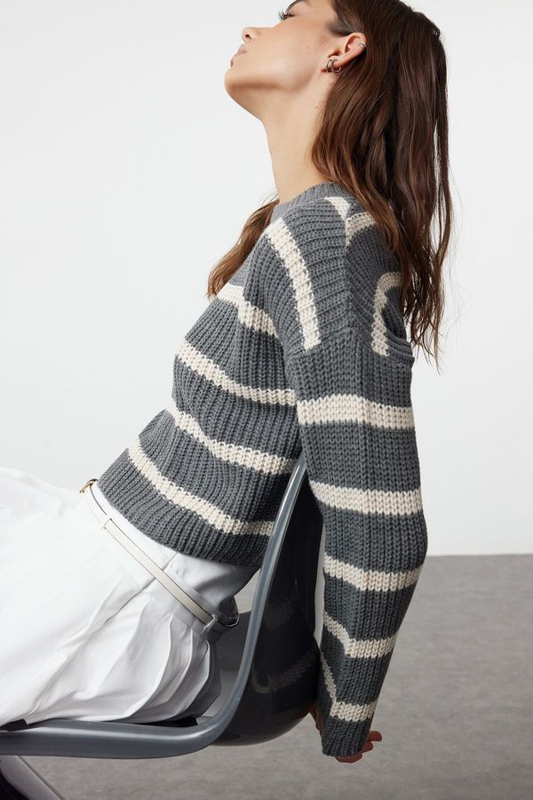 Trendyol Trendyol Anthracite Crop Basic Striped Knitwear Sweater