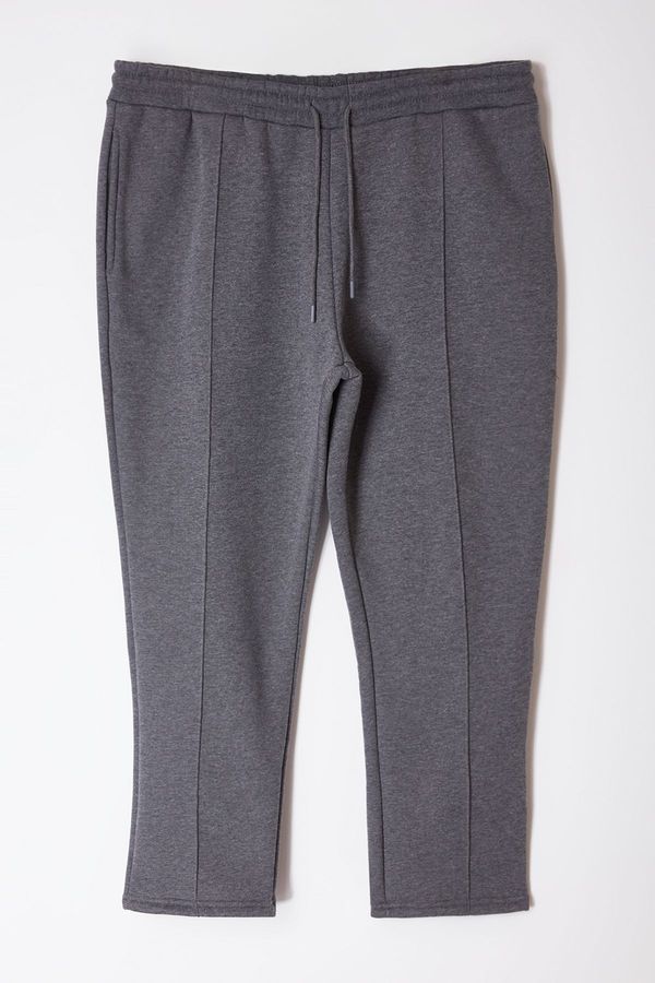 Trendyol Trendyol Anthracite Plus Size Regular/Normal Cut Thick Sweatpants with Stitching Detail