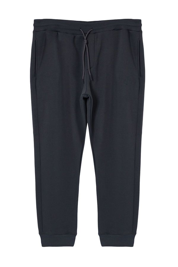 Trendyol Trendyol Anthracite Regular/Normal Cut Basic Plus Size Sweatpants