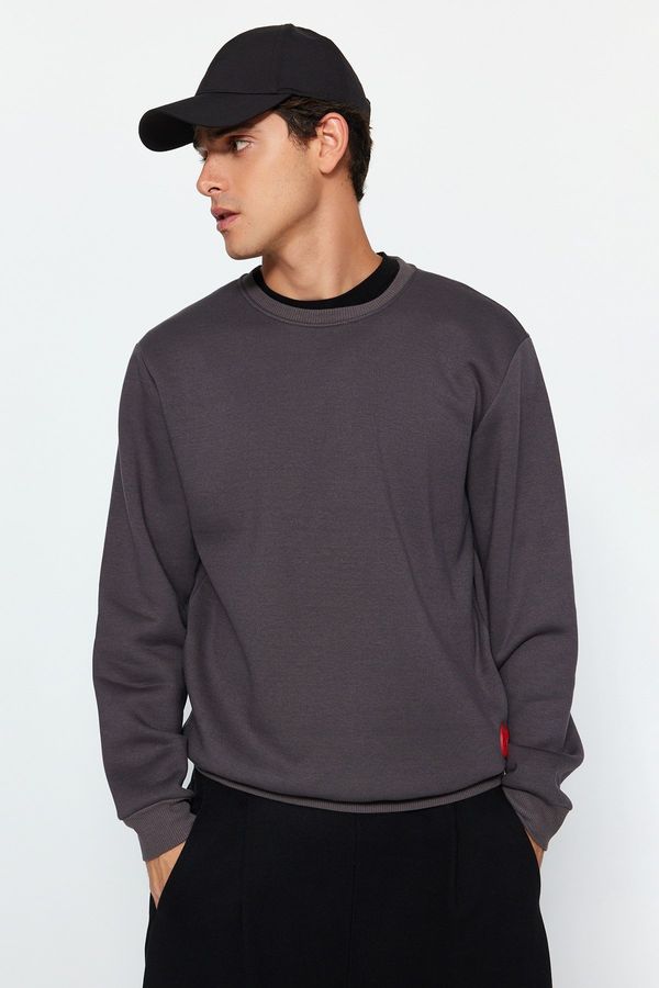 Trendyol Trendyol Anthracite Regular/Normal Fit Silicone Label Detail Fleece Inside Sweatshirt