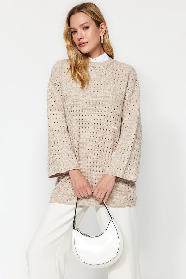 Trendyol Trendyol Beige Comfort Fit Openwork/Perforated Knitwear Knit Sweater