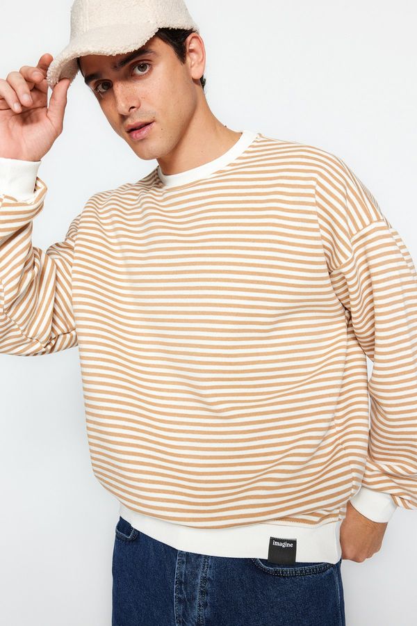 Trendyol Trendyol Beige Oversize/Wide Cut Striped Fleece Inside/Warm Sweatshirt