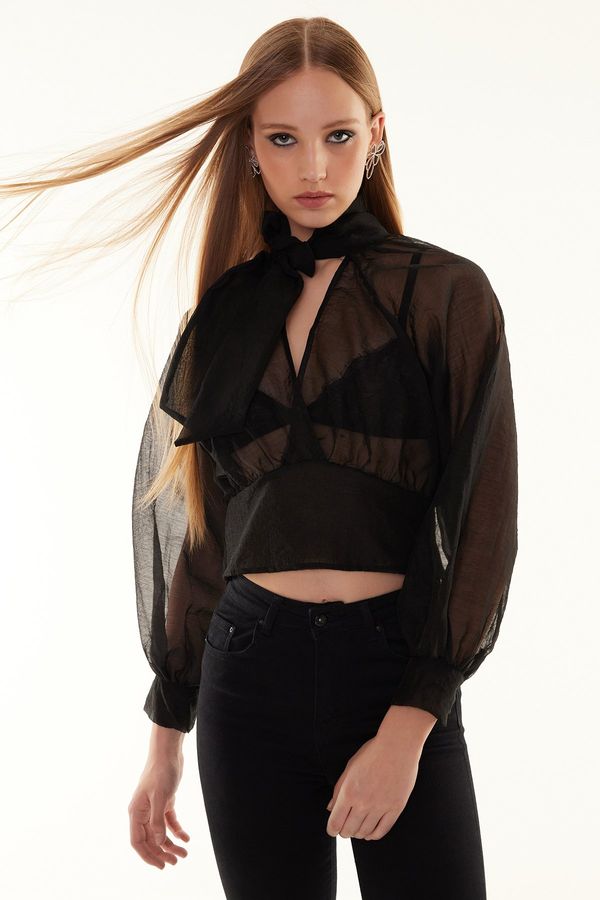 Trendyol Trendyol Black Sheer Look Blouse