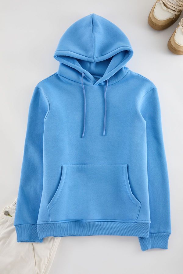 Trendyol Trendyol Blue Basic Regular Cut Hooded Sweatshirt with Fleece Inside Kangaroo Pocket