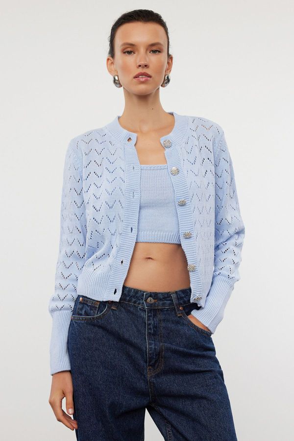 Trendyol Trendyol Blue Button Detailed Openwork/Hole Blouse-Cardigan Set