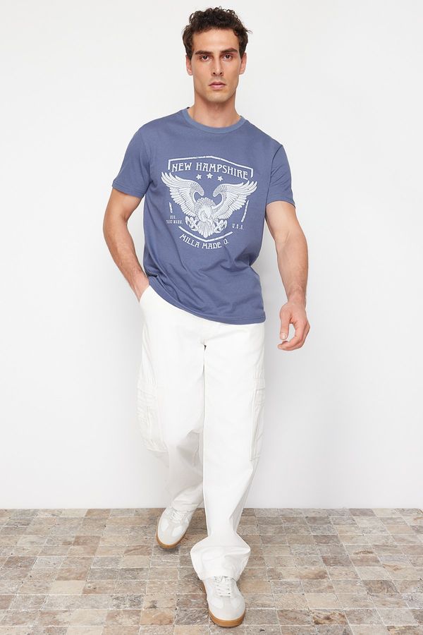 Trendyol Trendyol Blue Eagle Printed Regular Cut T-Shirt