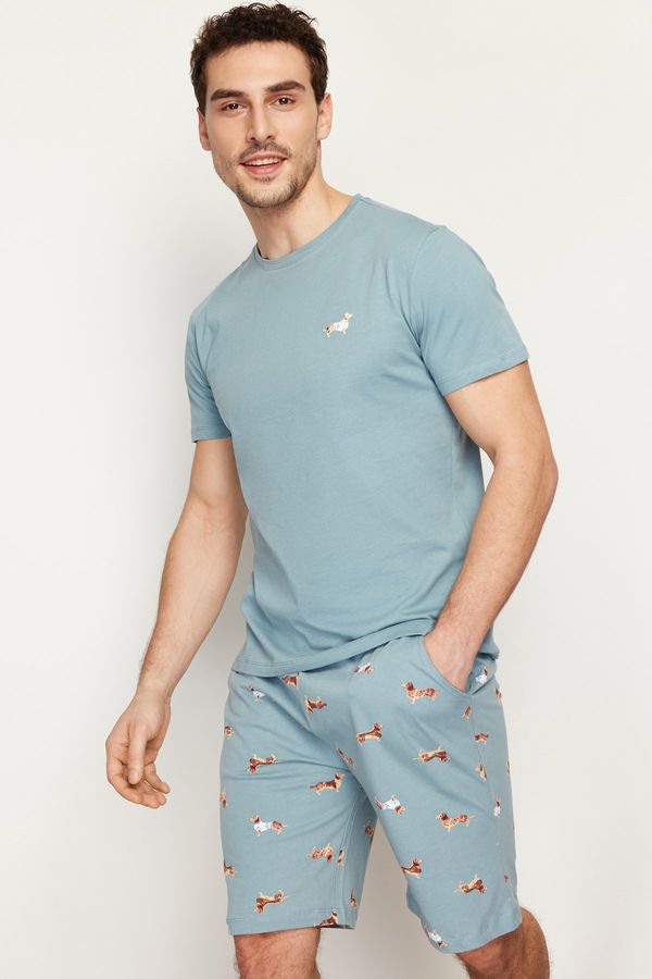 Trendyol Trendyol Blue Regular Fit Printed Knitted Shorts Summer Pajamas Set