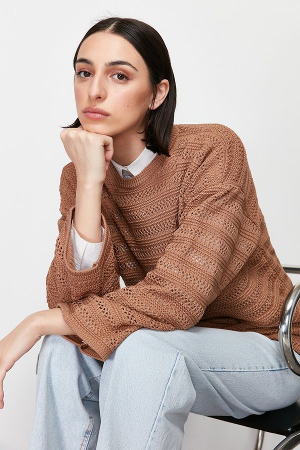 Trendyol Trendyol Brown Openwork/Hole Knitwear Sweater