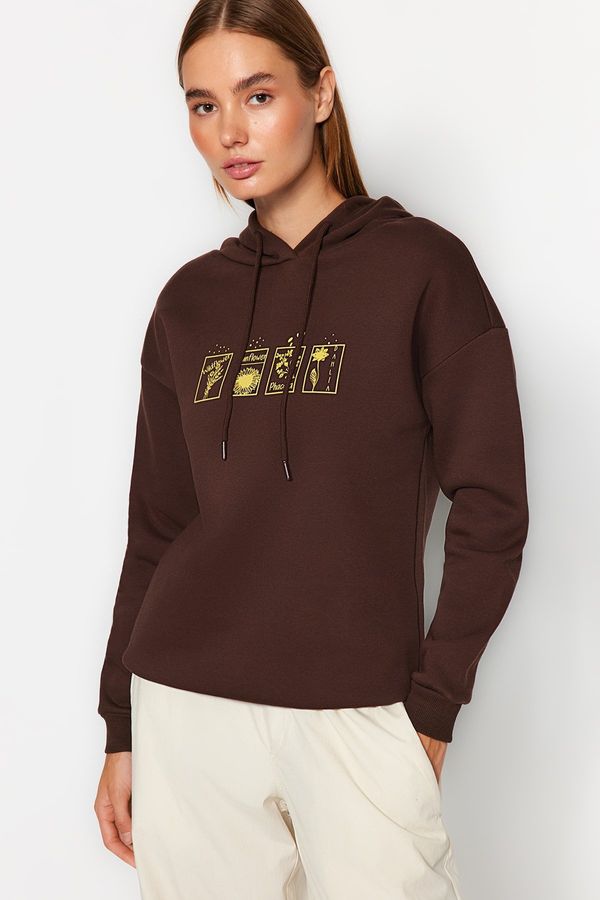 Trendyol Trendyol Brown Printed Hoodie and Knitted Sweatshirt with Fleece Inside